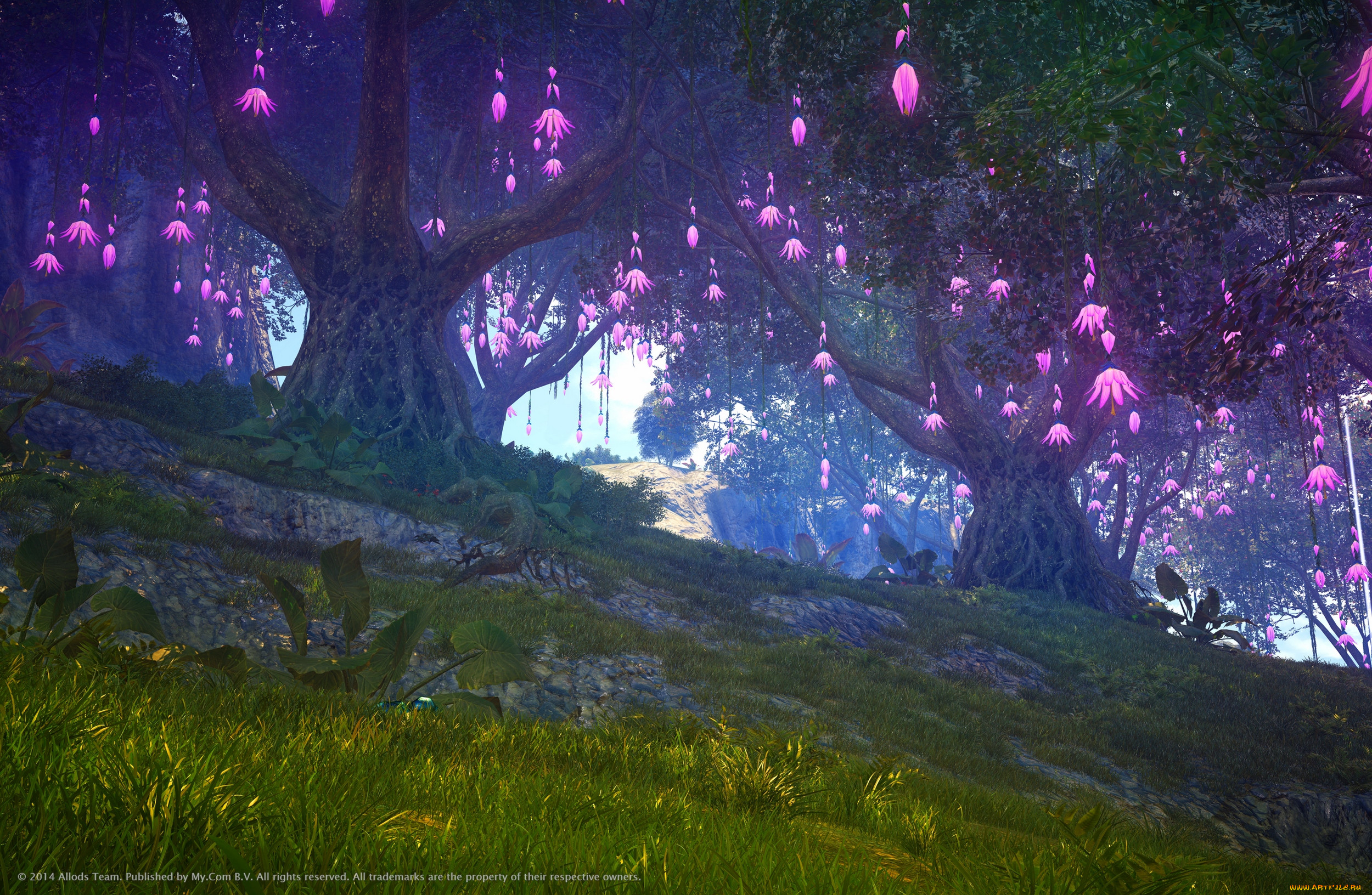 skyforge,  , - skyforge, , , , 
